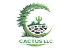 Cactus LLC