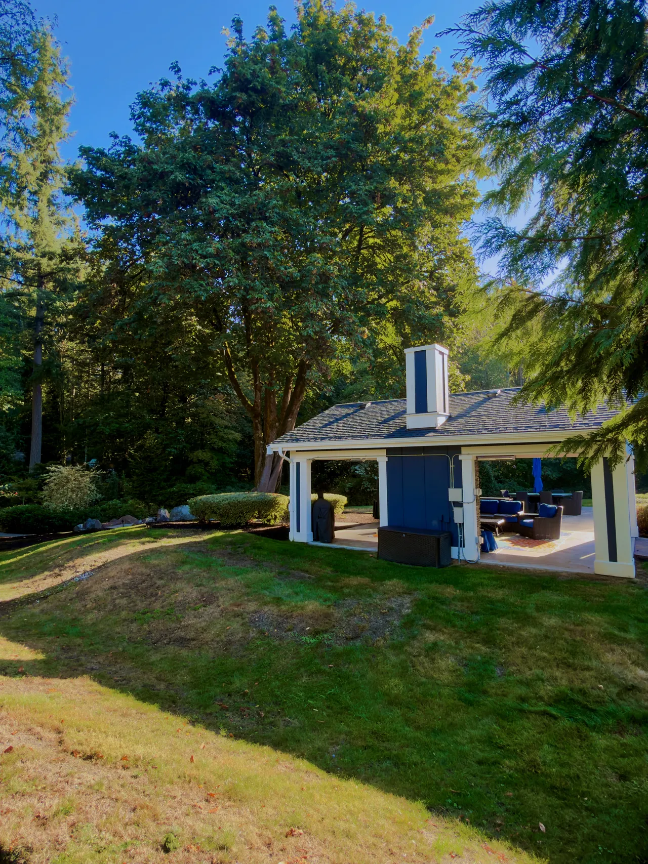 A backyard pavilion and lawn seen from the top of the slope, evergreens behind