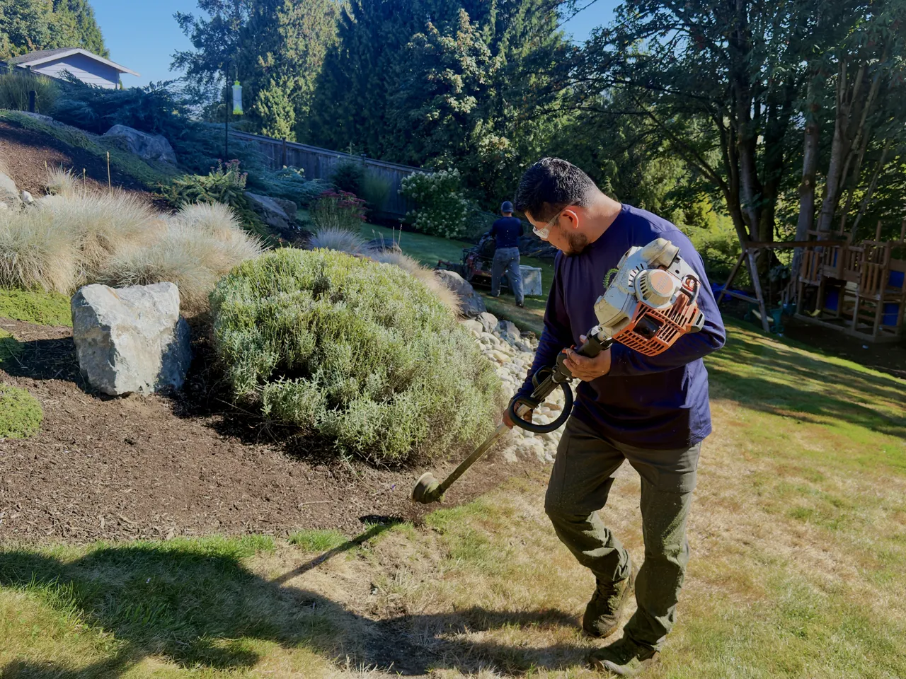 Alberto, senior craftsman, string trimming a planted bank