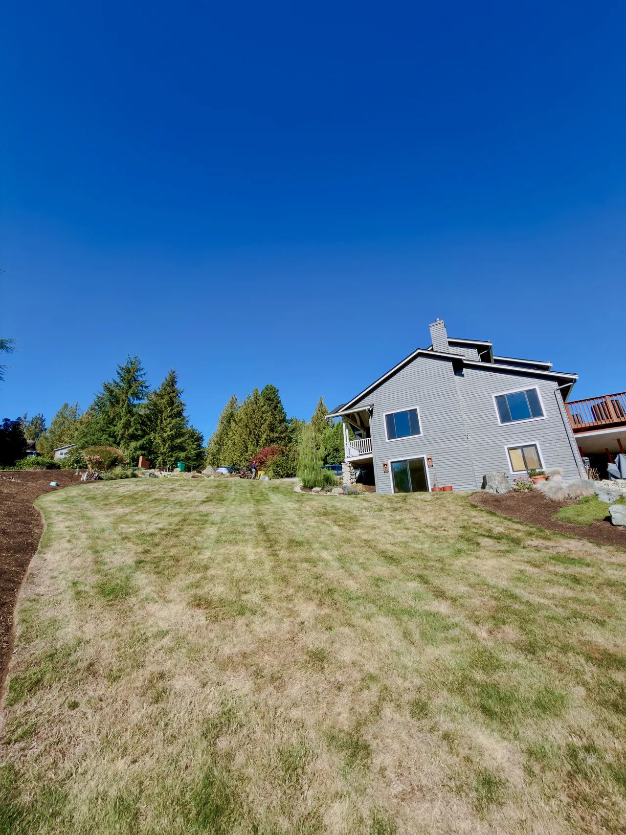 A house above a sloped lawn with fresh bark beds under a clear sky