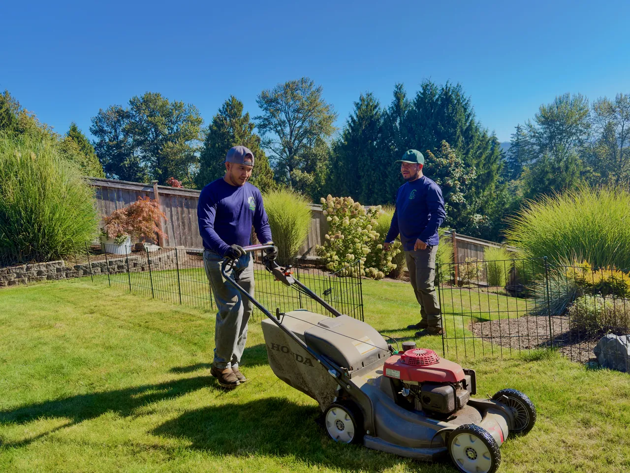 Two crew members mow and trim a back lawn beside ornamental grasses