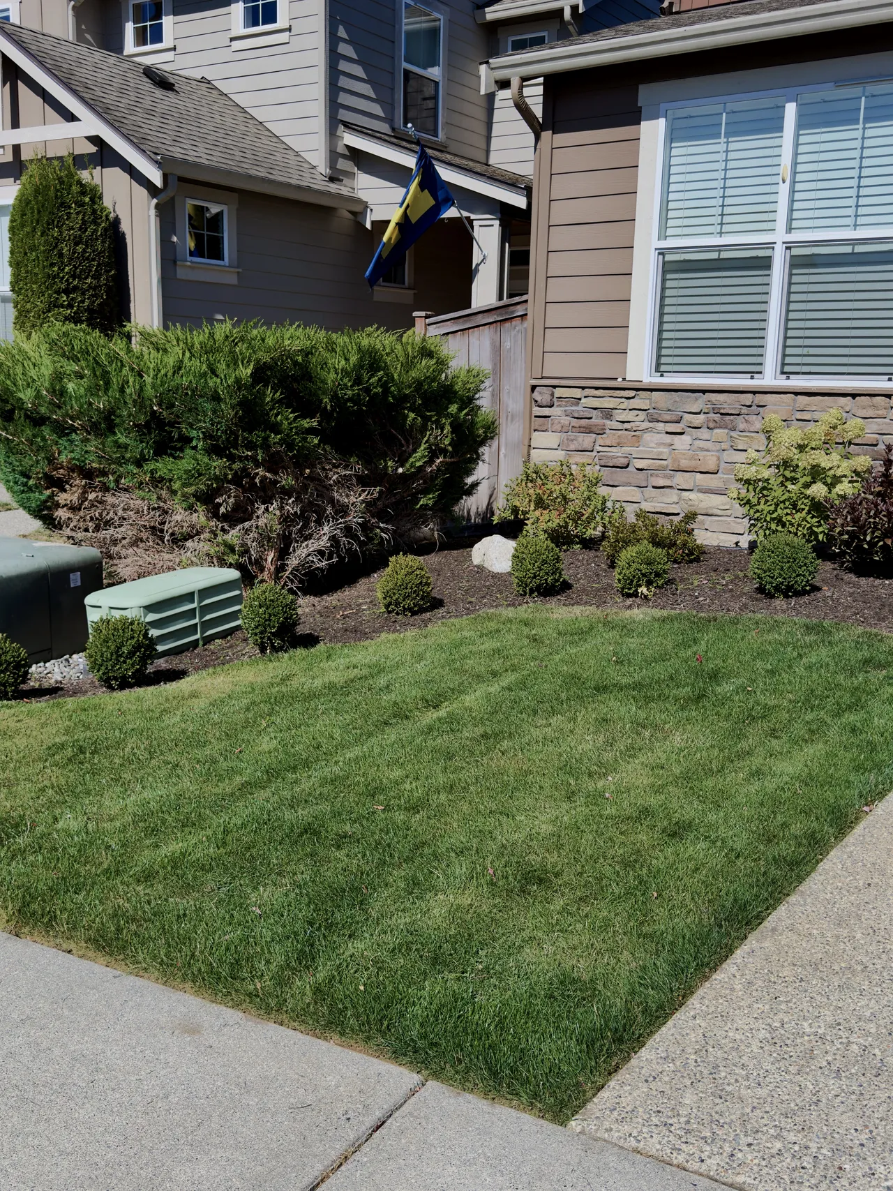 Crisp edge between a lawn and a concrete walk