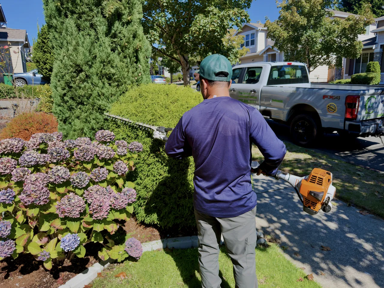 Crew member trimming a hedge with the Cactus LLC truck parked behind