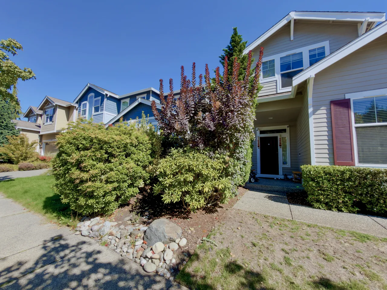 Trimmed foundation shrubs and lawn in front of a house