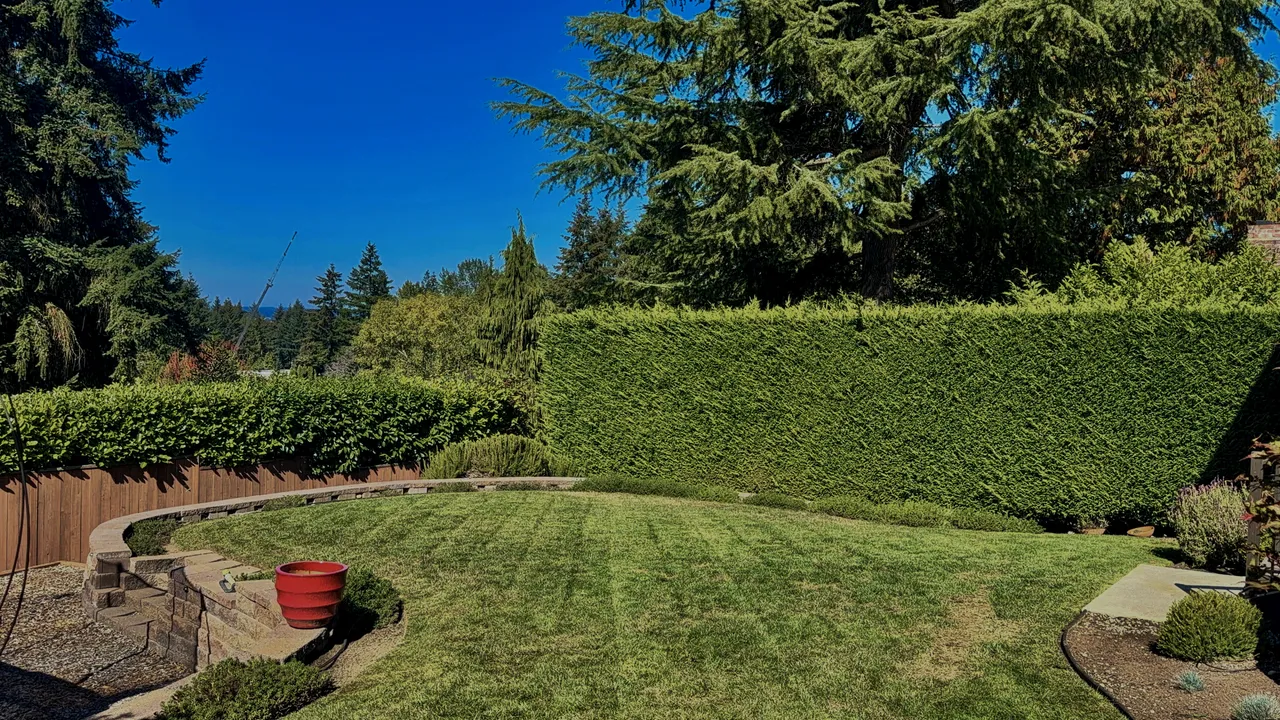Long clipped hedge wall beside a level lawn