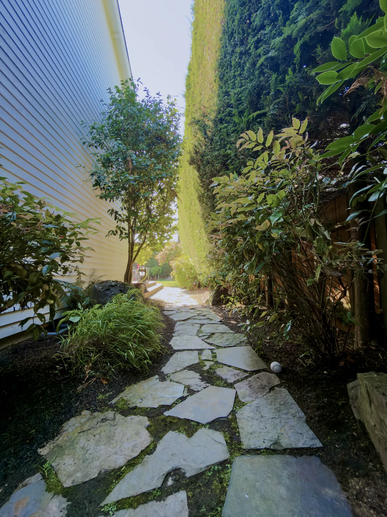 Flagstone stepping path set in gravel between plantings