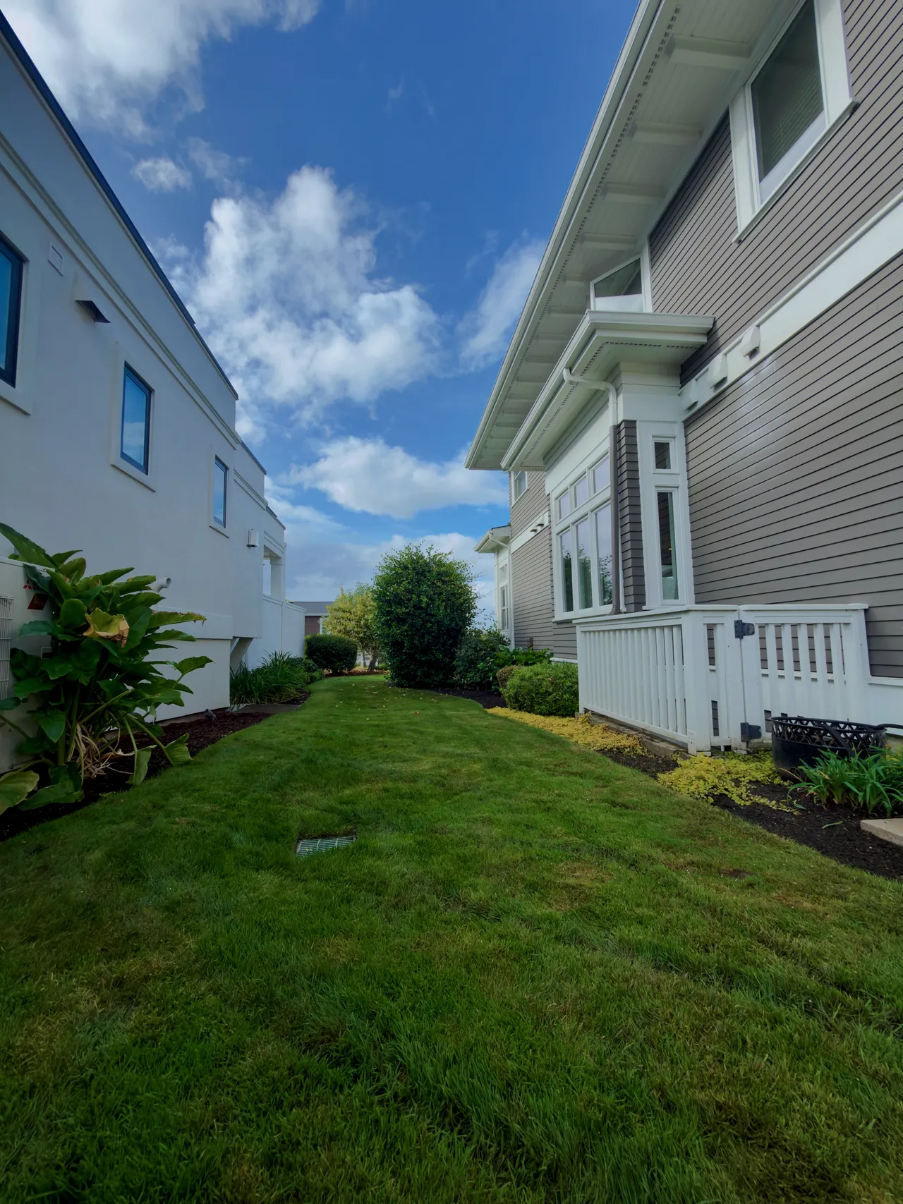 A side yard lawn between the house and fence, beds edged